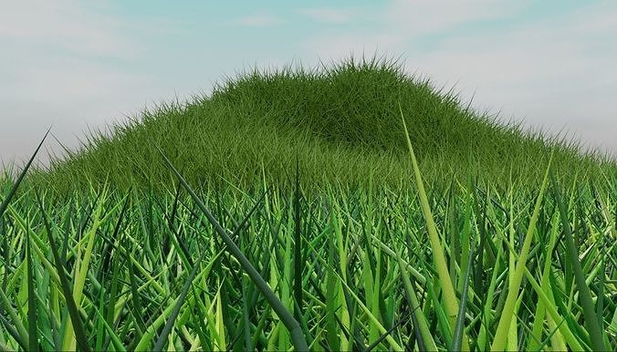 Grass Free 3D model