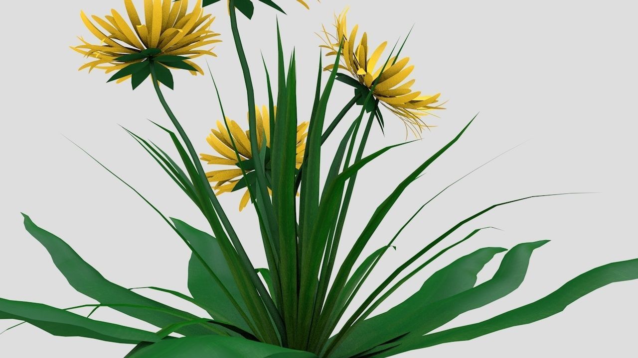 Dandelion Yellow Low-poly 3D model_4