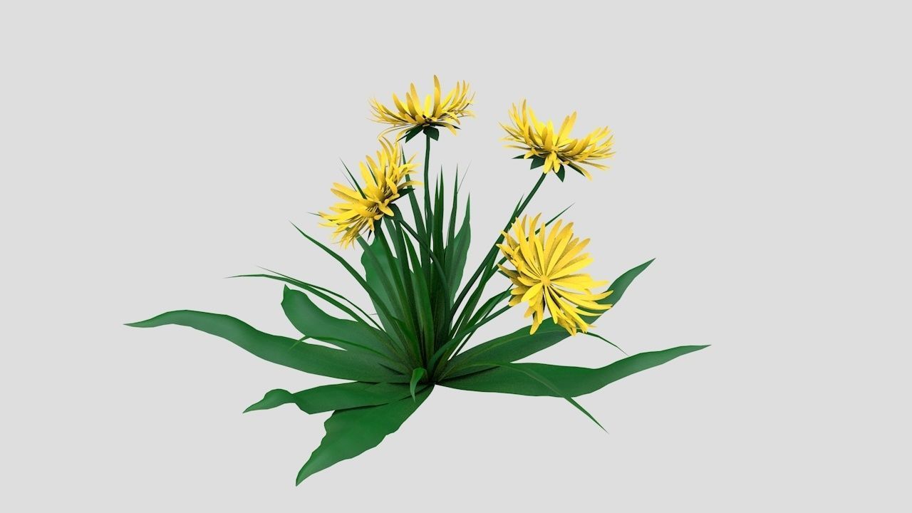 Dandelion Yellow Low-poly 3D model_1