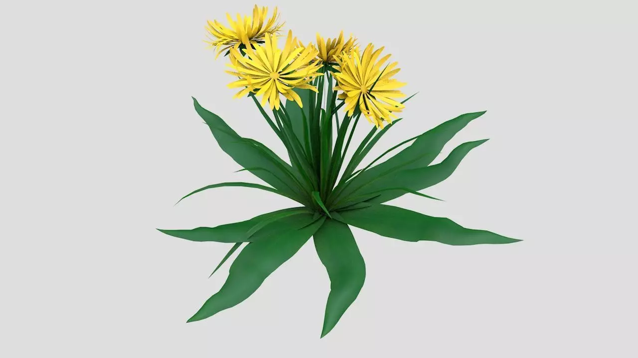 Dandelion Yellow Low-poly 3D model_0