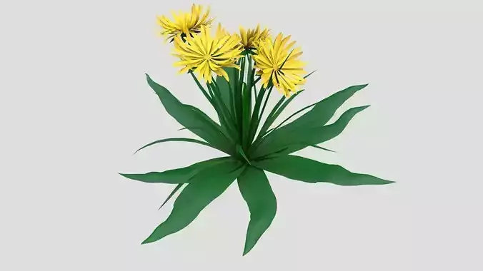 Dandelion Yellow Low-poly 3D model