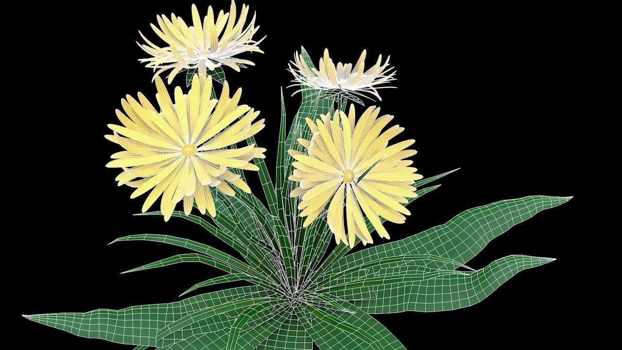 Dandelion Yellow Low-poly 3D model_6