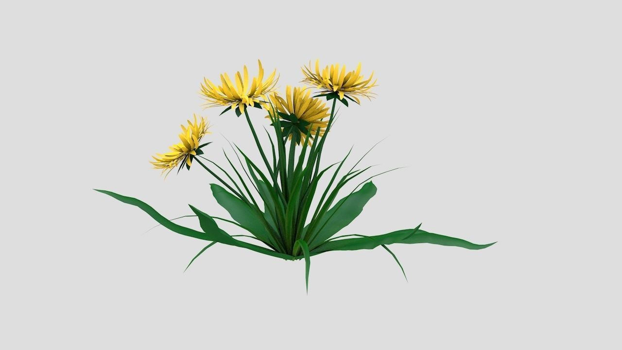 Dandelion Yellow Low-poly 3D model_2