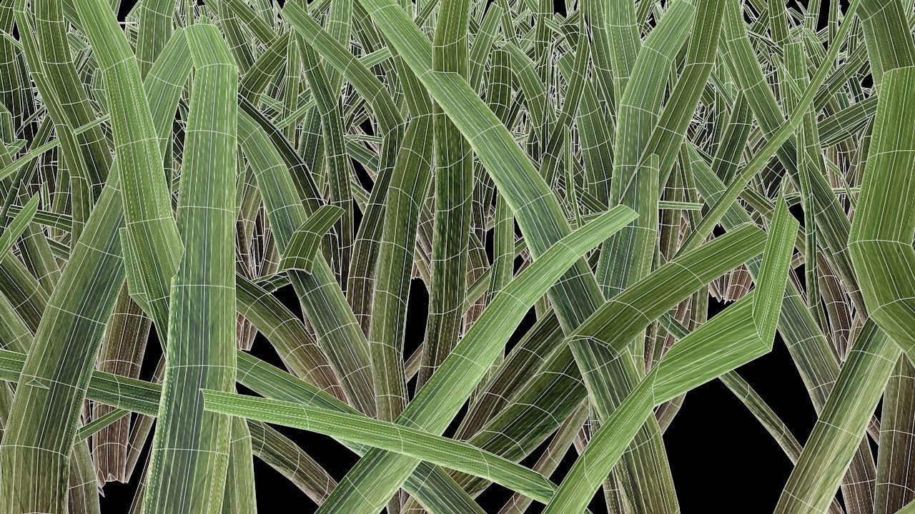 Grass 3D model_4