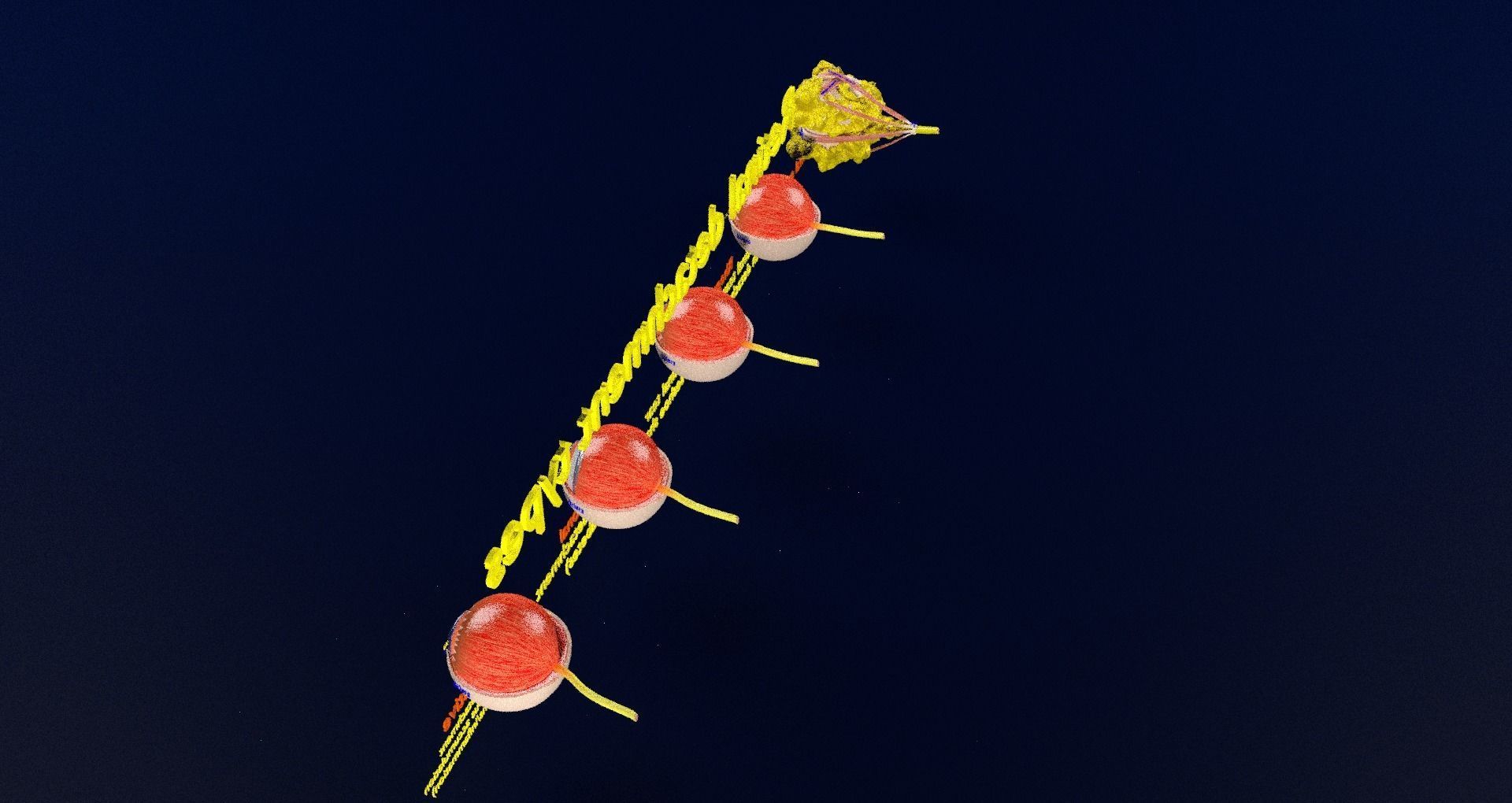 Retinal detachment types eye 3D model_79