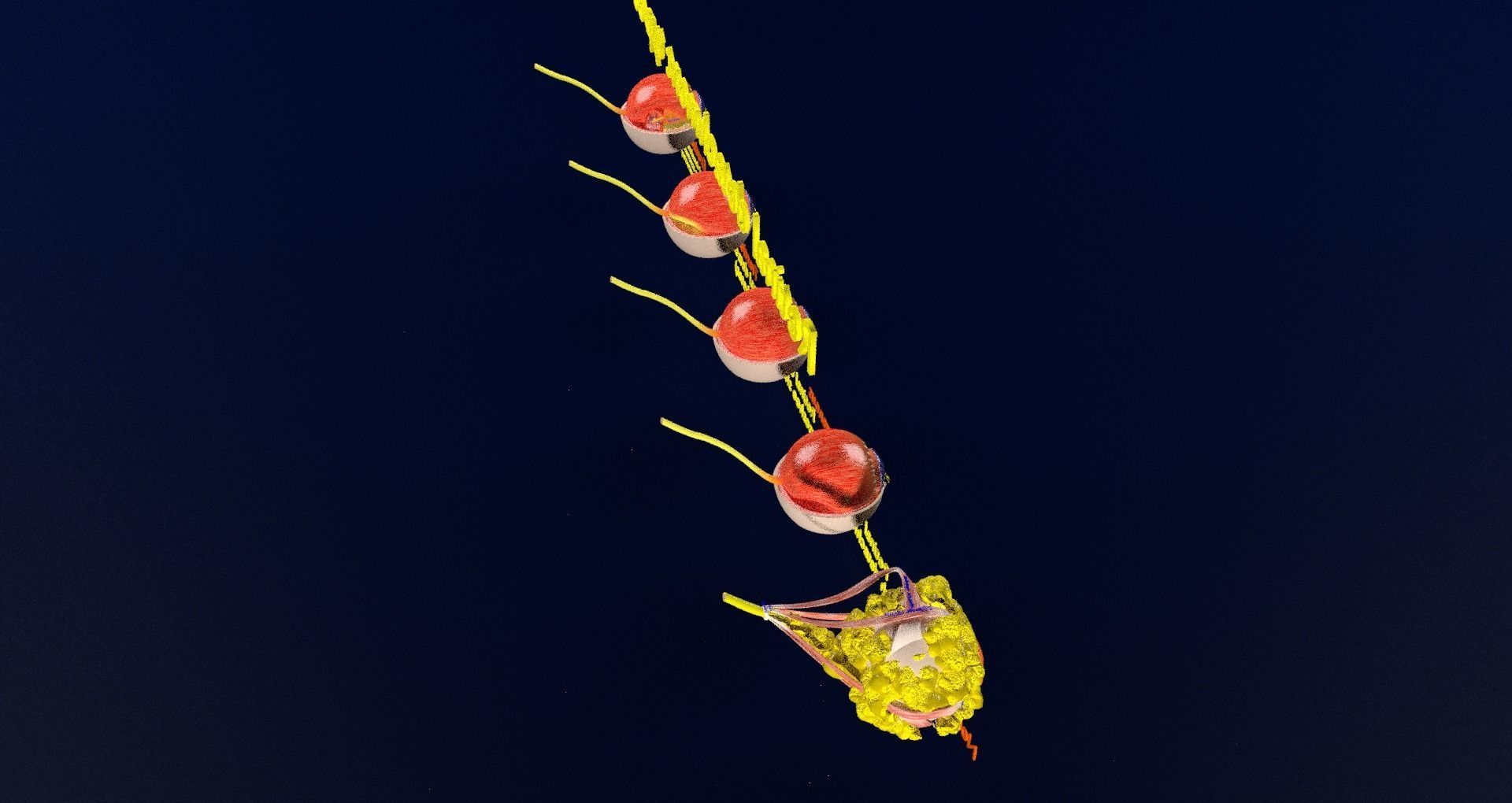 Retinal detachment types eye 3D model_50