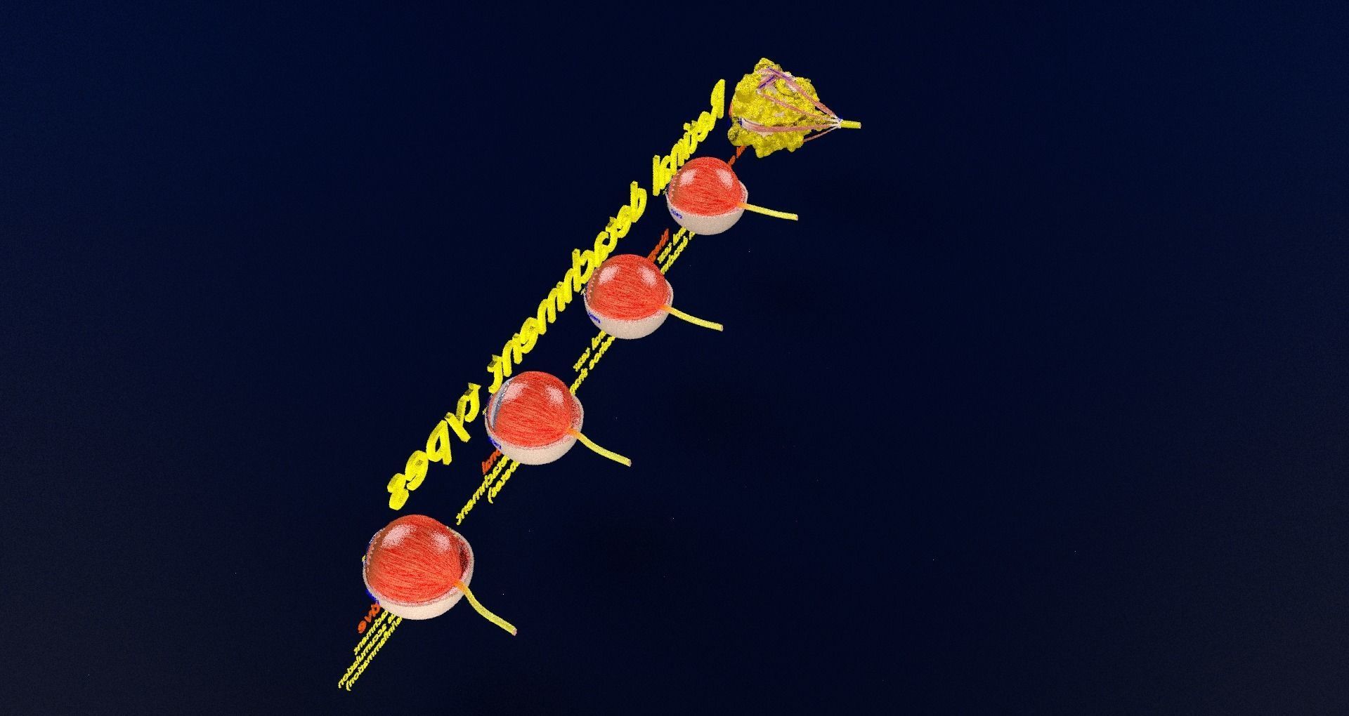 Retinal detachment types eye 3D model_84