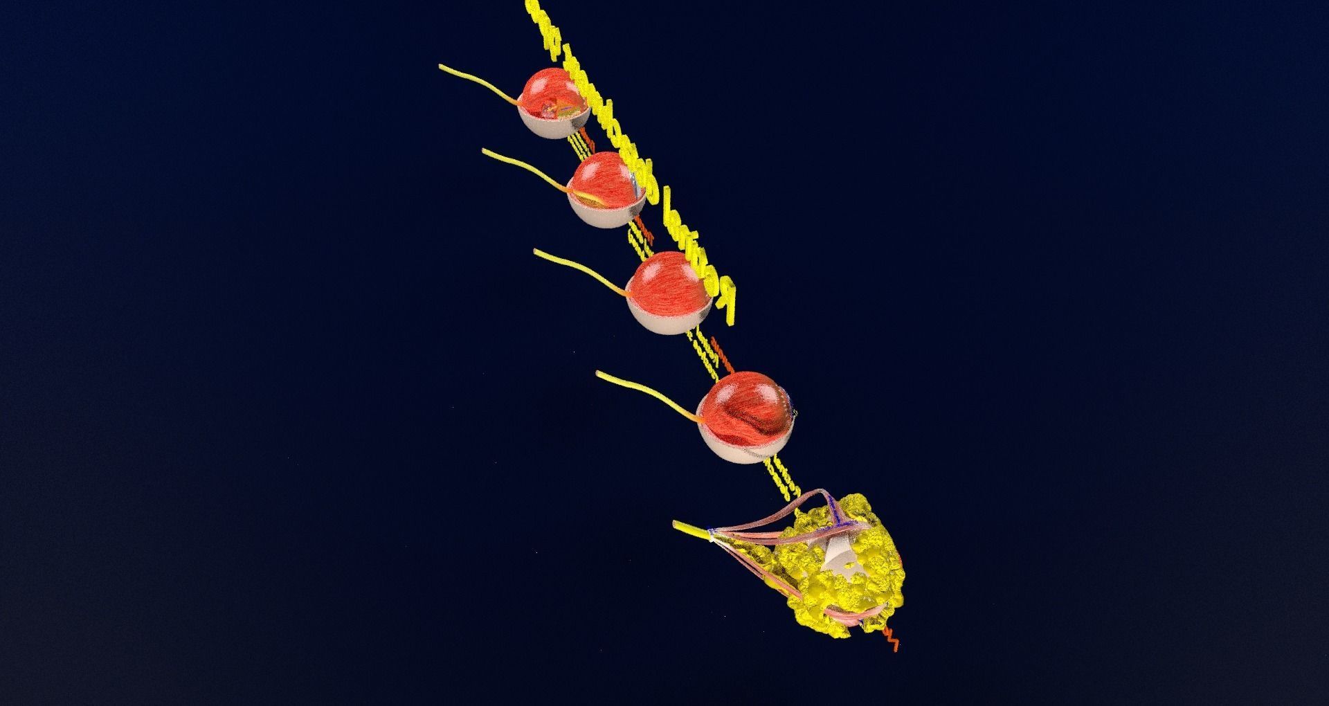 Retinal detachment types eye 3D model_56
