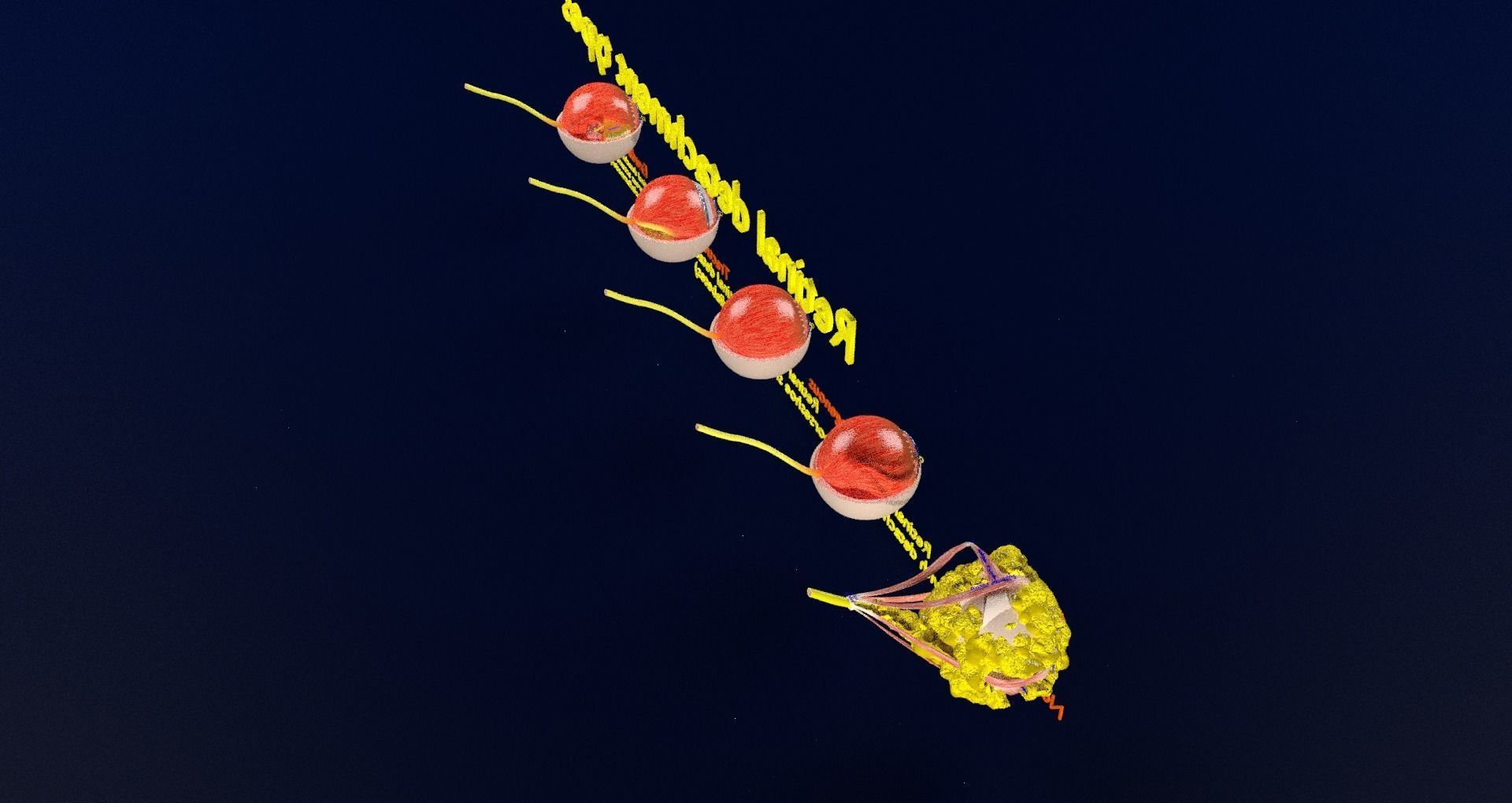 Retinal detachment types eye 3D model_51