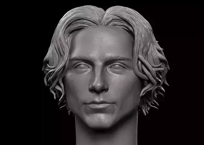 Timothee Chalamet Head 3D print model