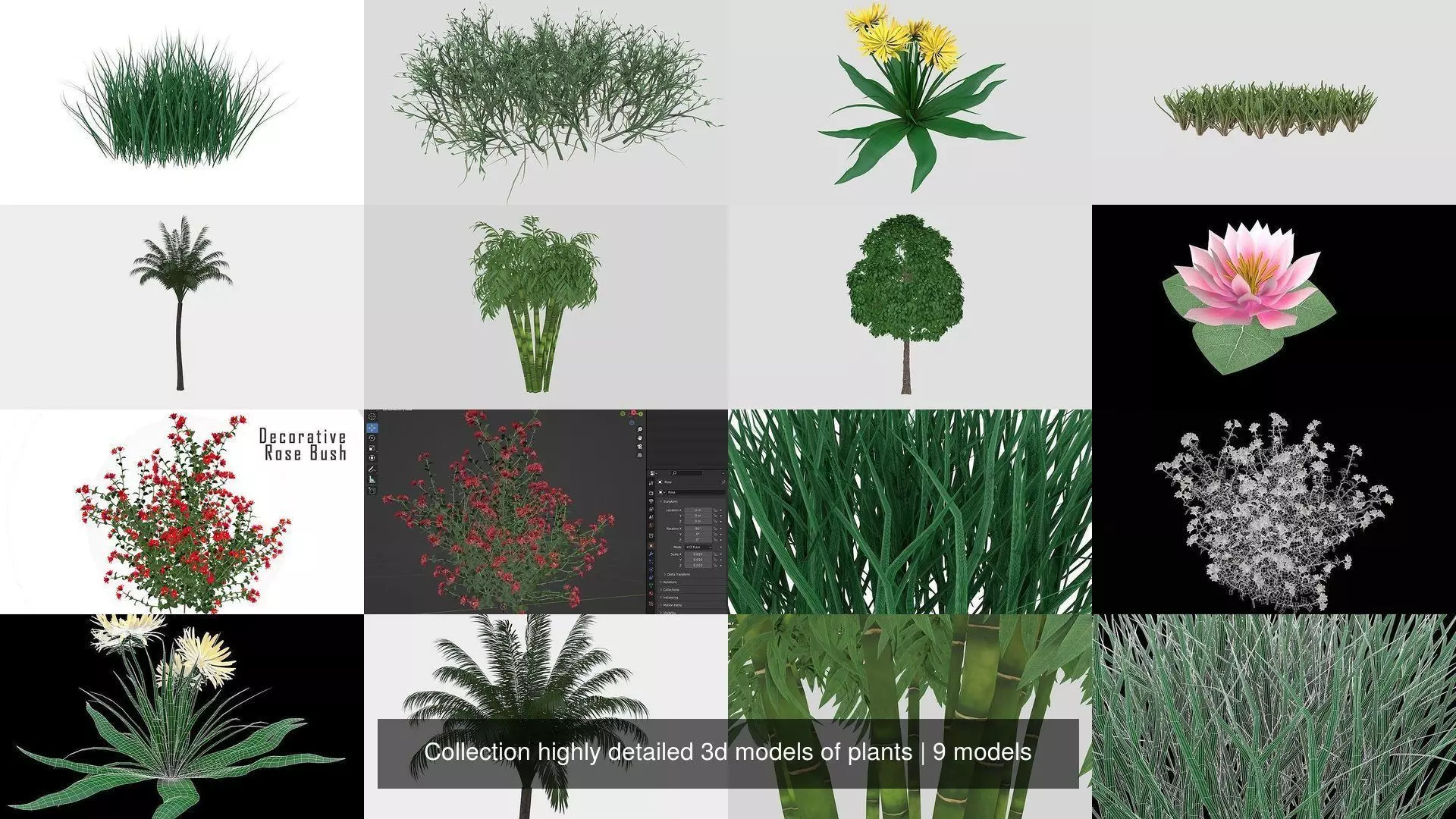 Collection highly detailed 3d models of plants _1