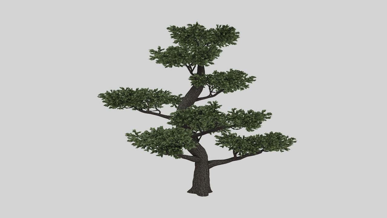 Collection highly detailed 3d models of plants _12