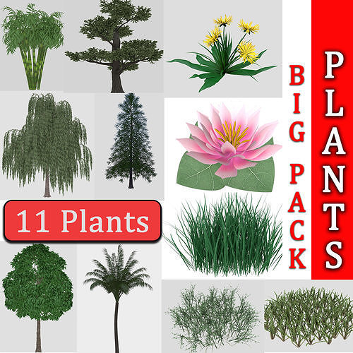 Collection highly detailed 3d models of plants 