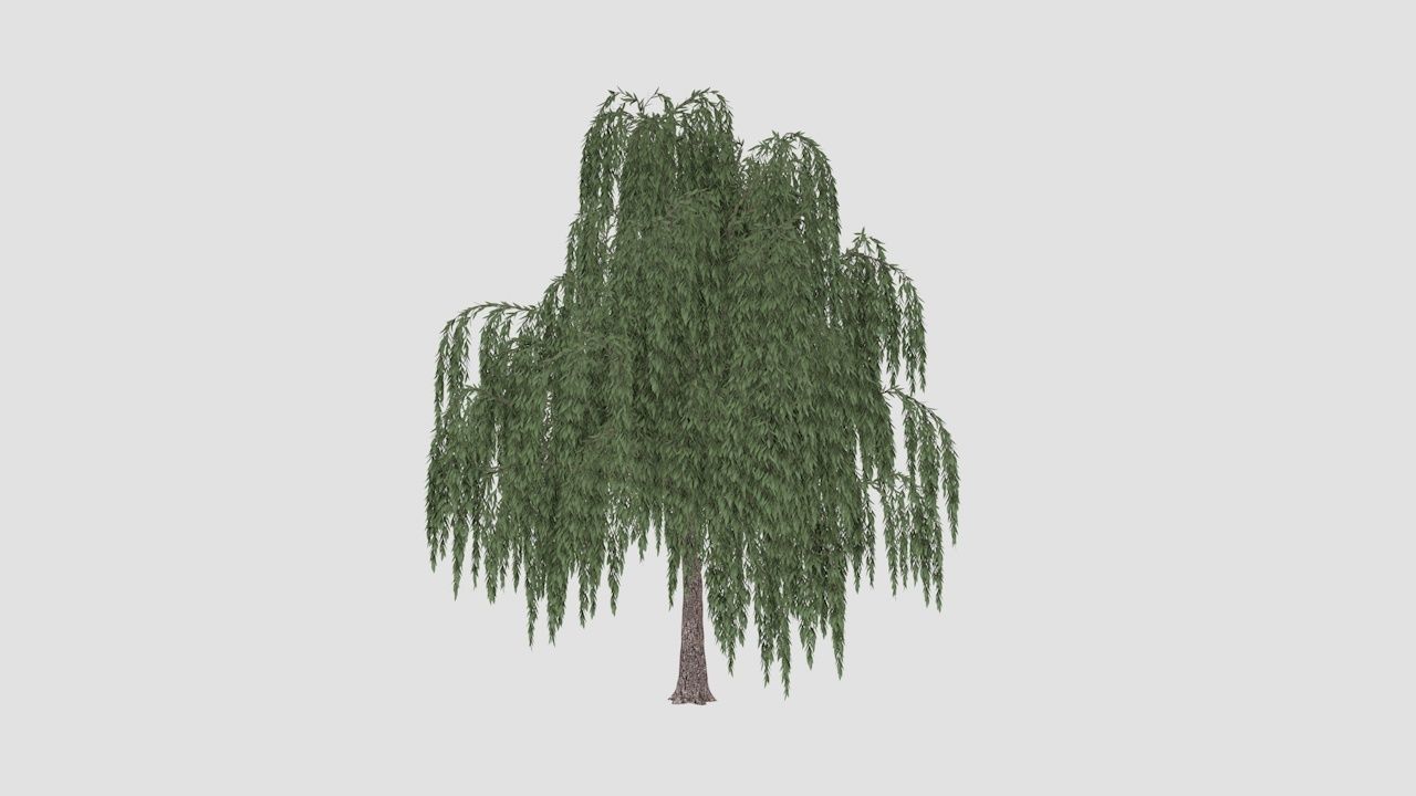 Collection highly detailed 3d models of plants _11