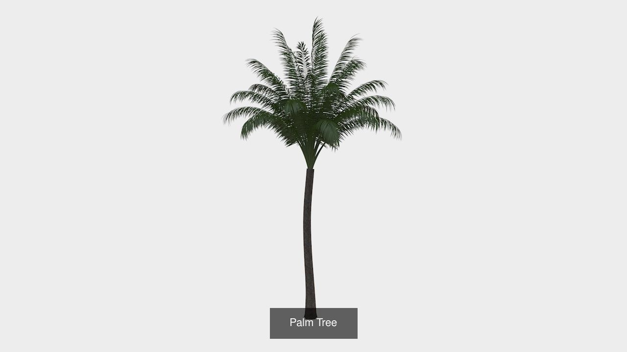 Collection highly detailed 3d models of plants _6