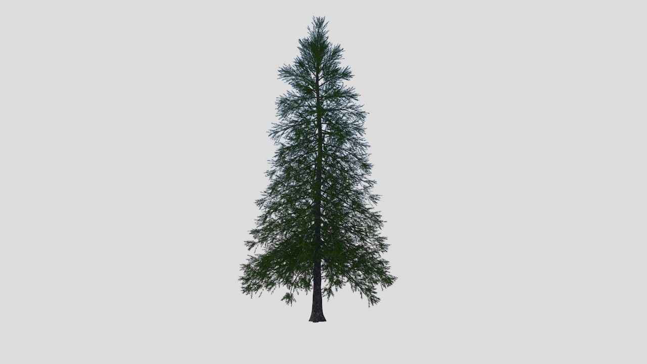 Collection highly detailed 3d models of plants _10