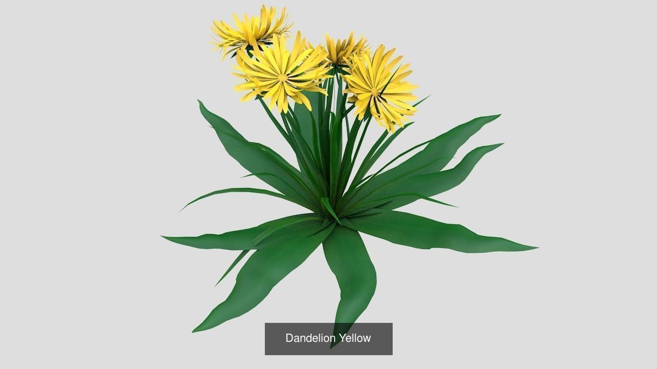 Collection highly detailed 3d models of plants _4