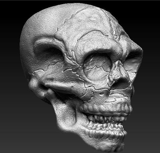 Skull Bust 3D printable file  3D print model