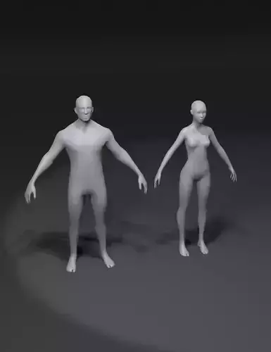 Male and Female Body Base Mesh 3D Model 3D Model Collection