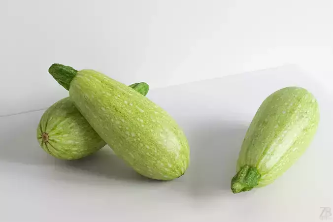 Marrow 3D model