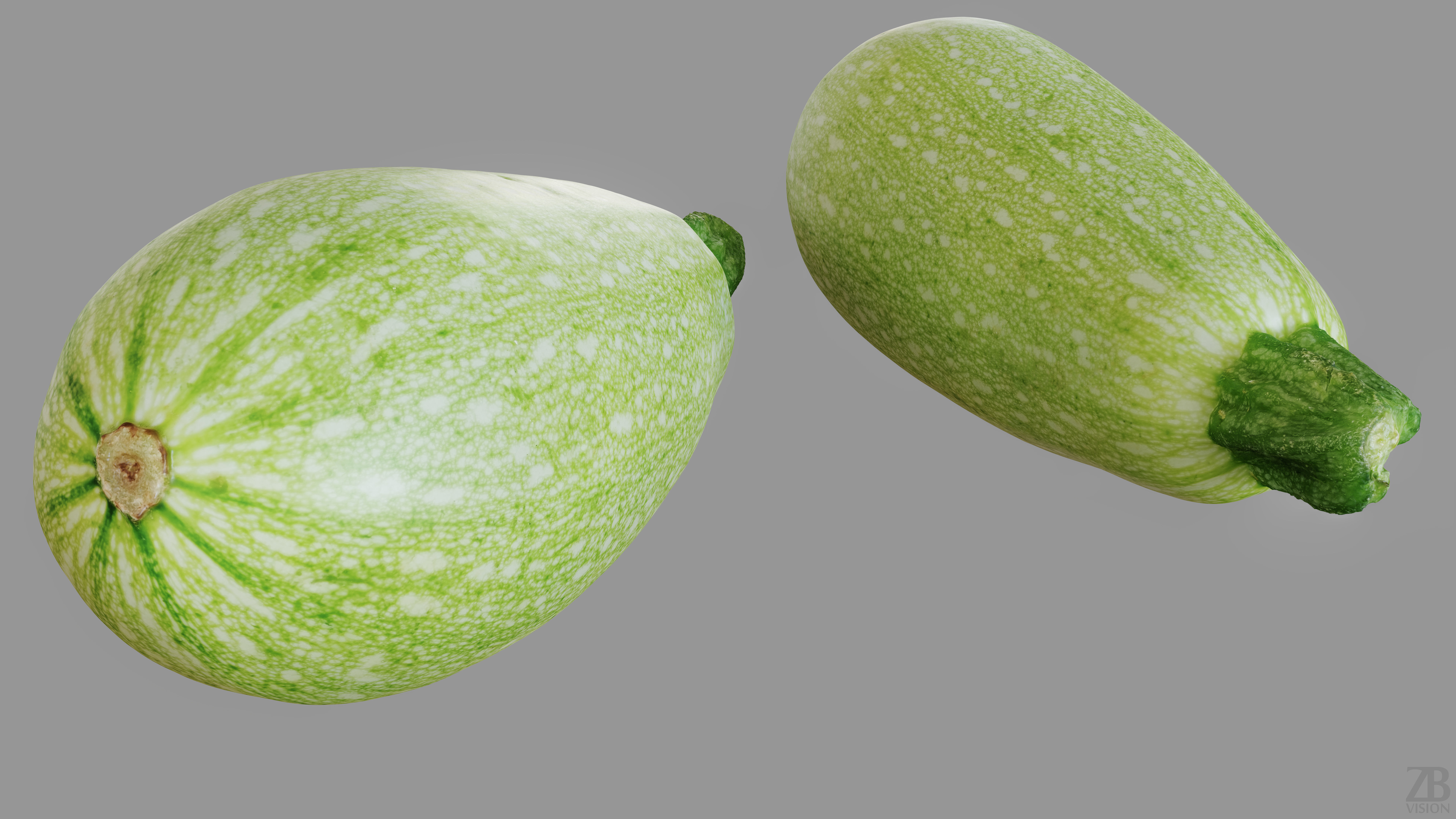Marrow 3D model_11