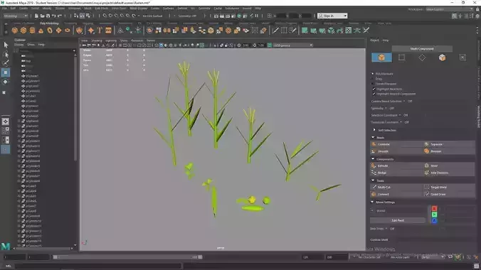 3d model of plants and fruits Free low-poly 3D model