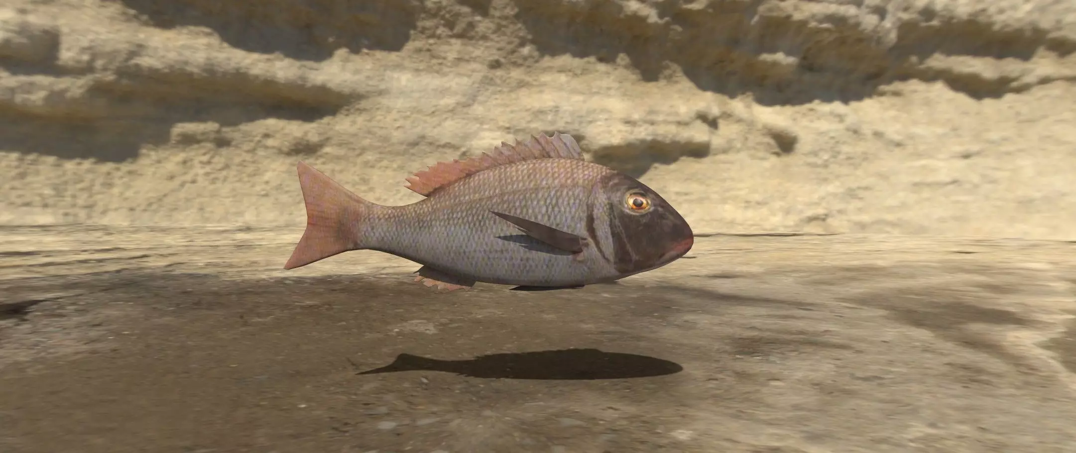 Fish 3D flying in sky Low-poly 3D model_0