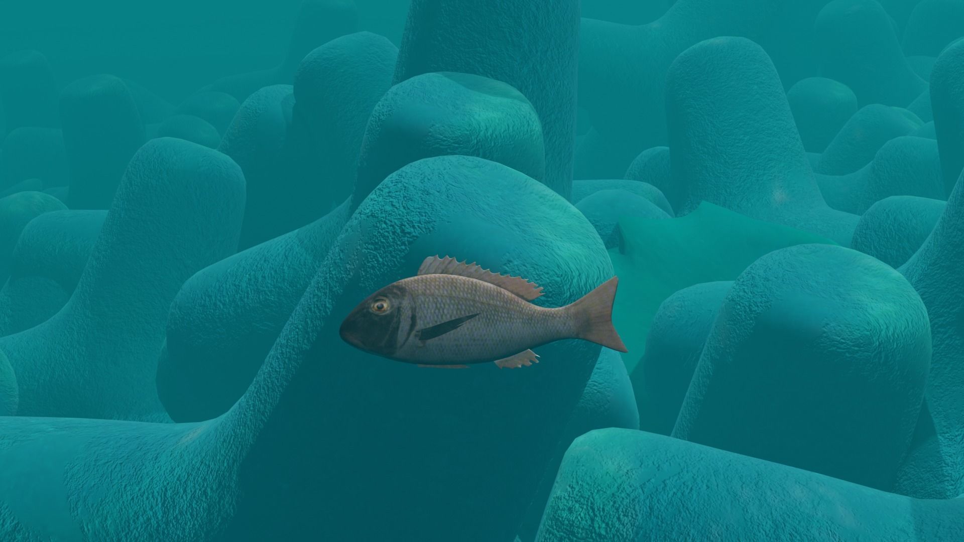 Fish 3D flying in sky Low-poly 3D model_4