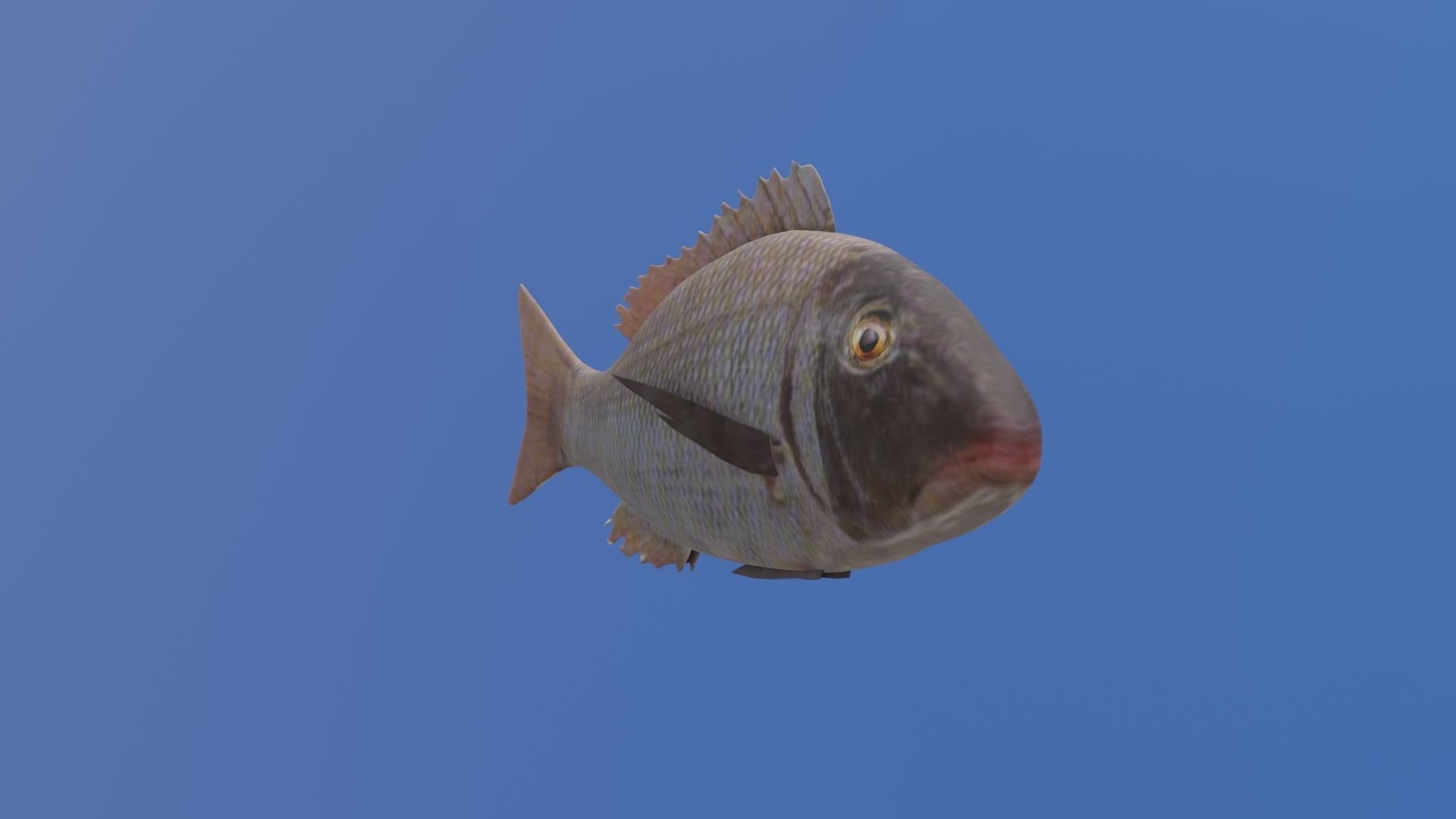 Fish 3D flying in sky Low-poly 3D model_25