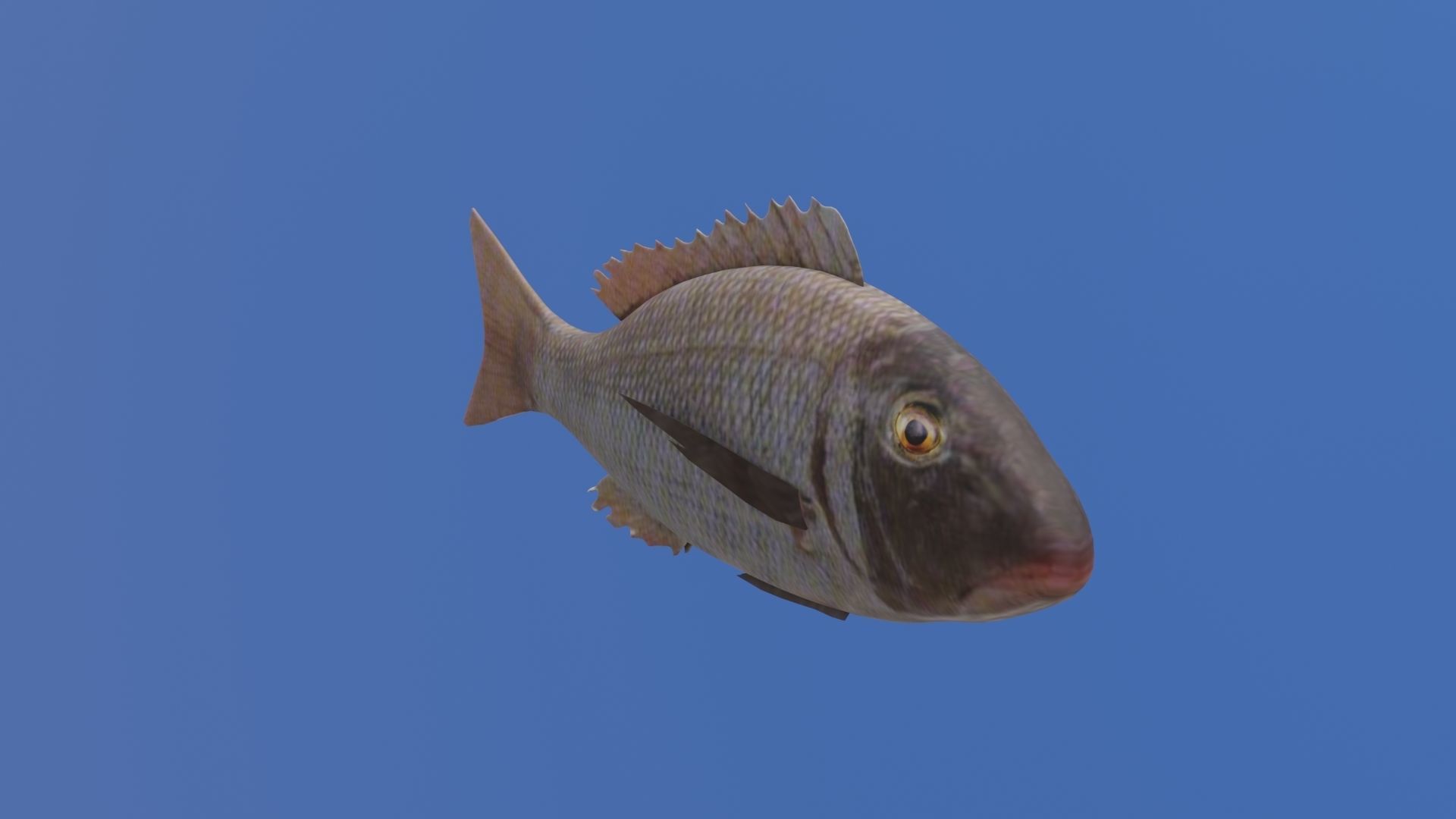 Fish 3D flying in sky Low-poly 3D model_28