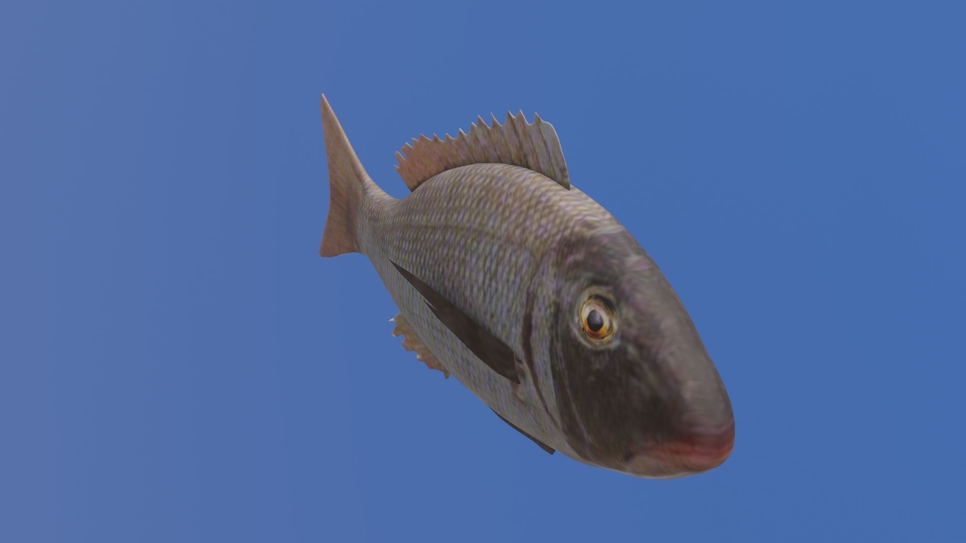 Fish 3D flying in sky Low-poly 3D model_23