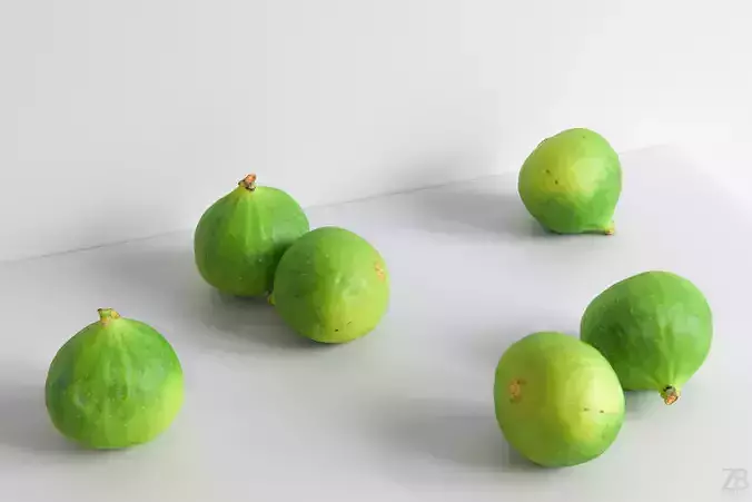 Fig   3D model