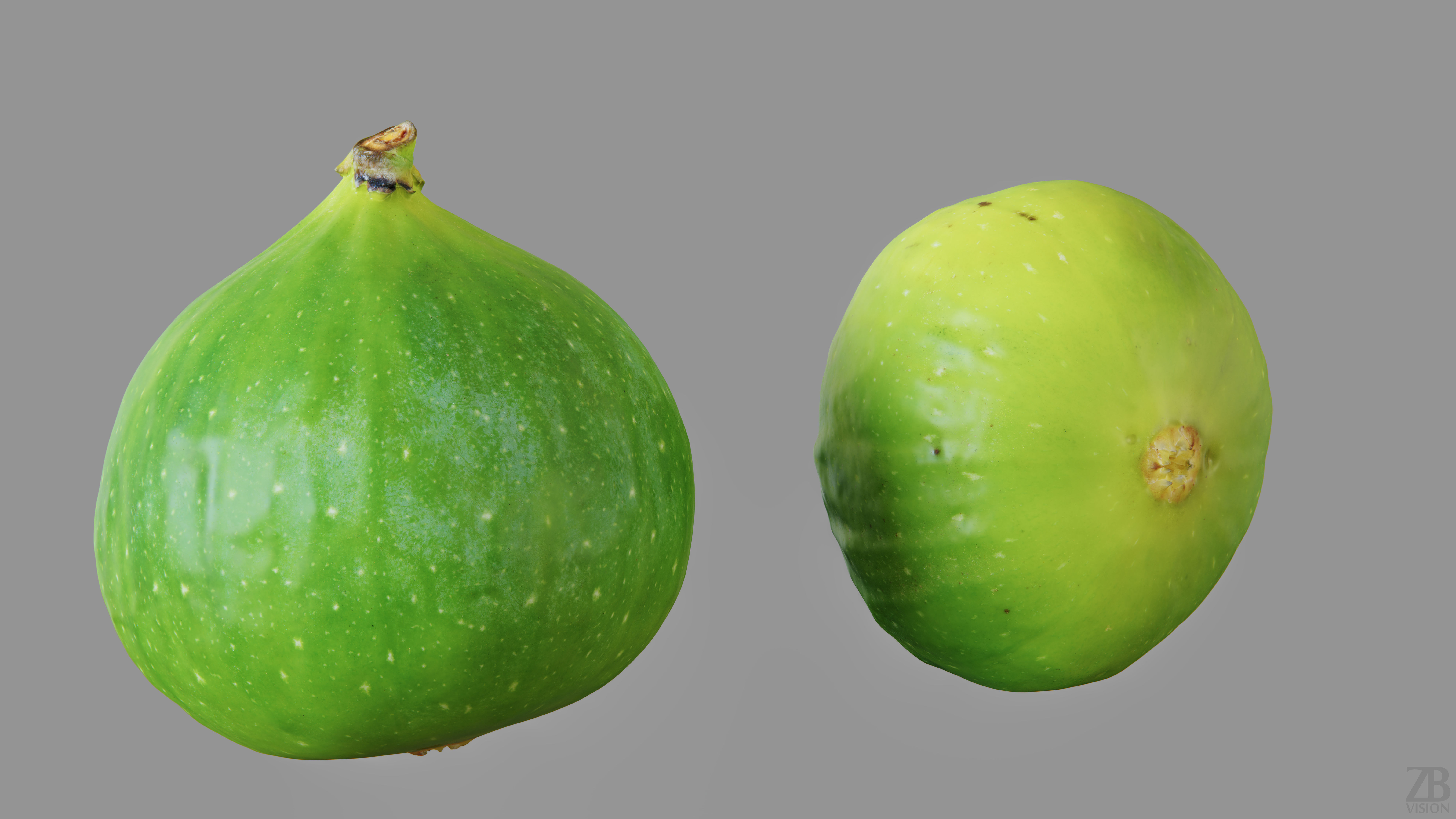 Fig   3D model_9