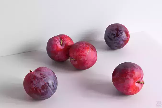 Plum  3D model