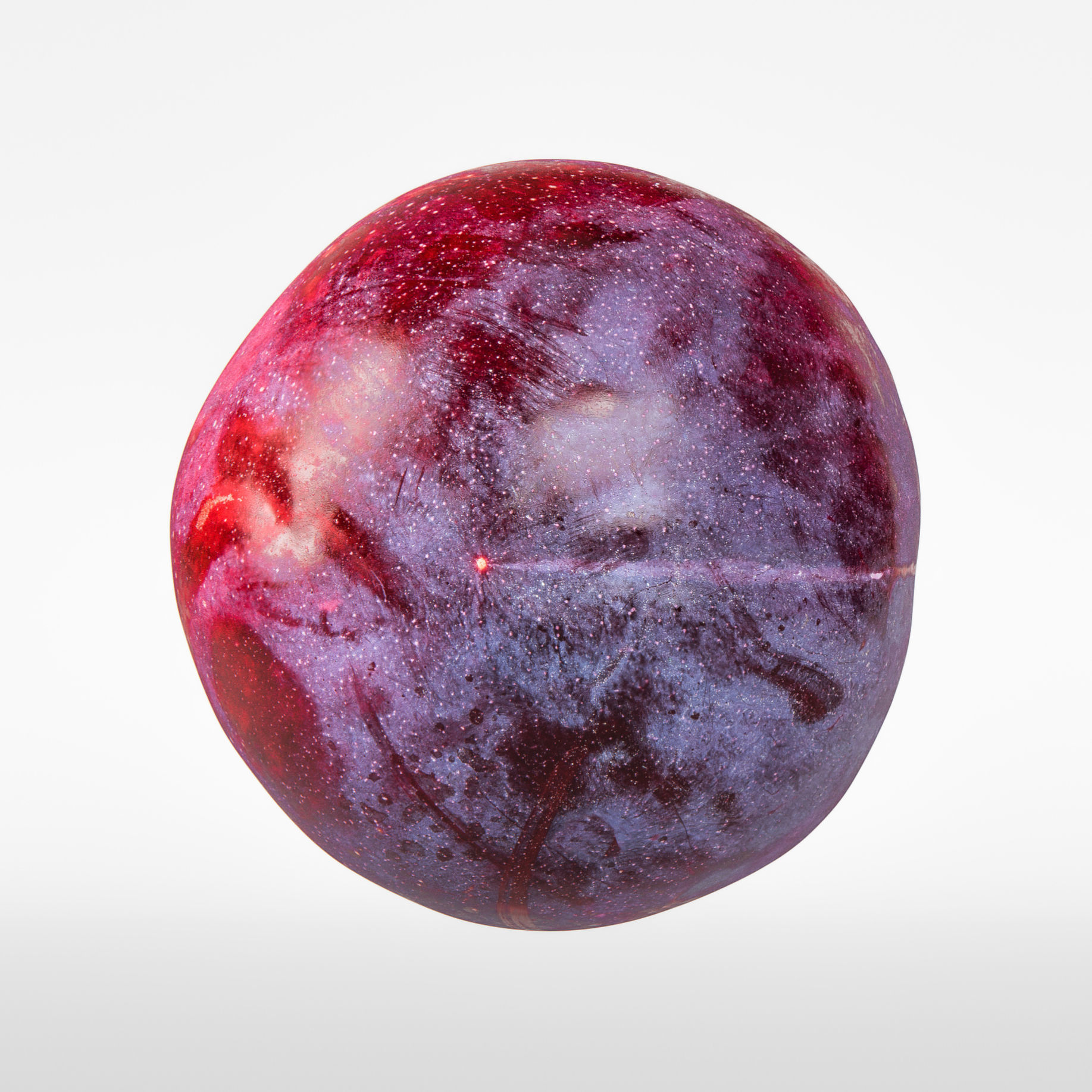 Plum  3D model_6