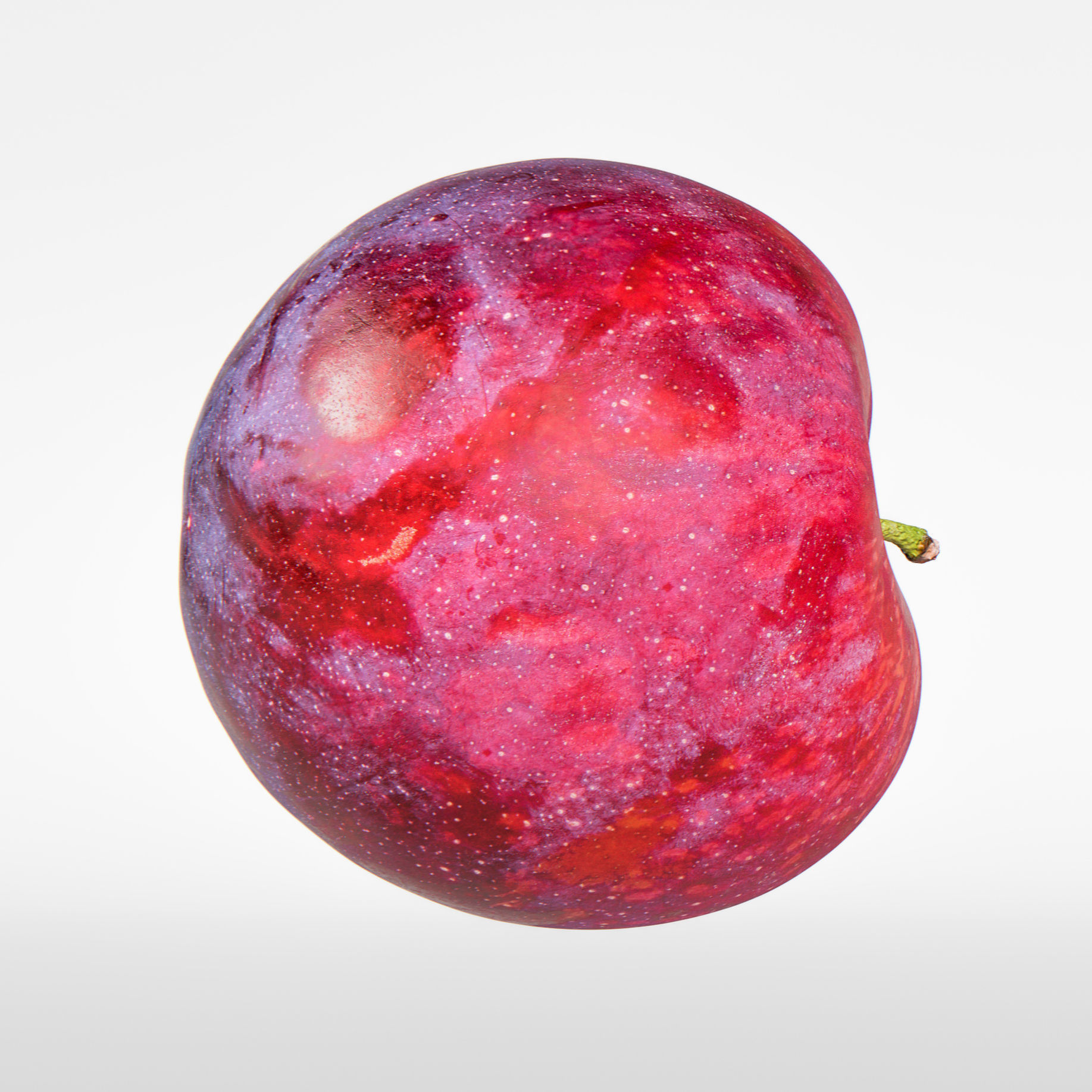 Plum  3D model_5
