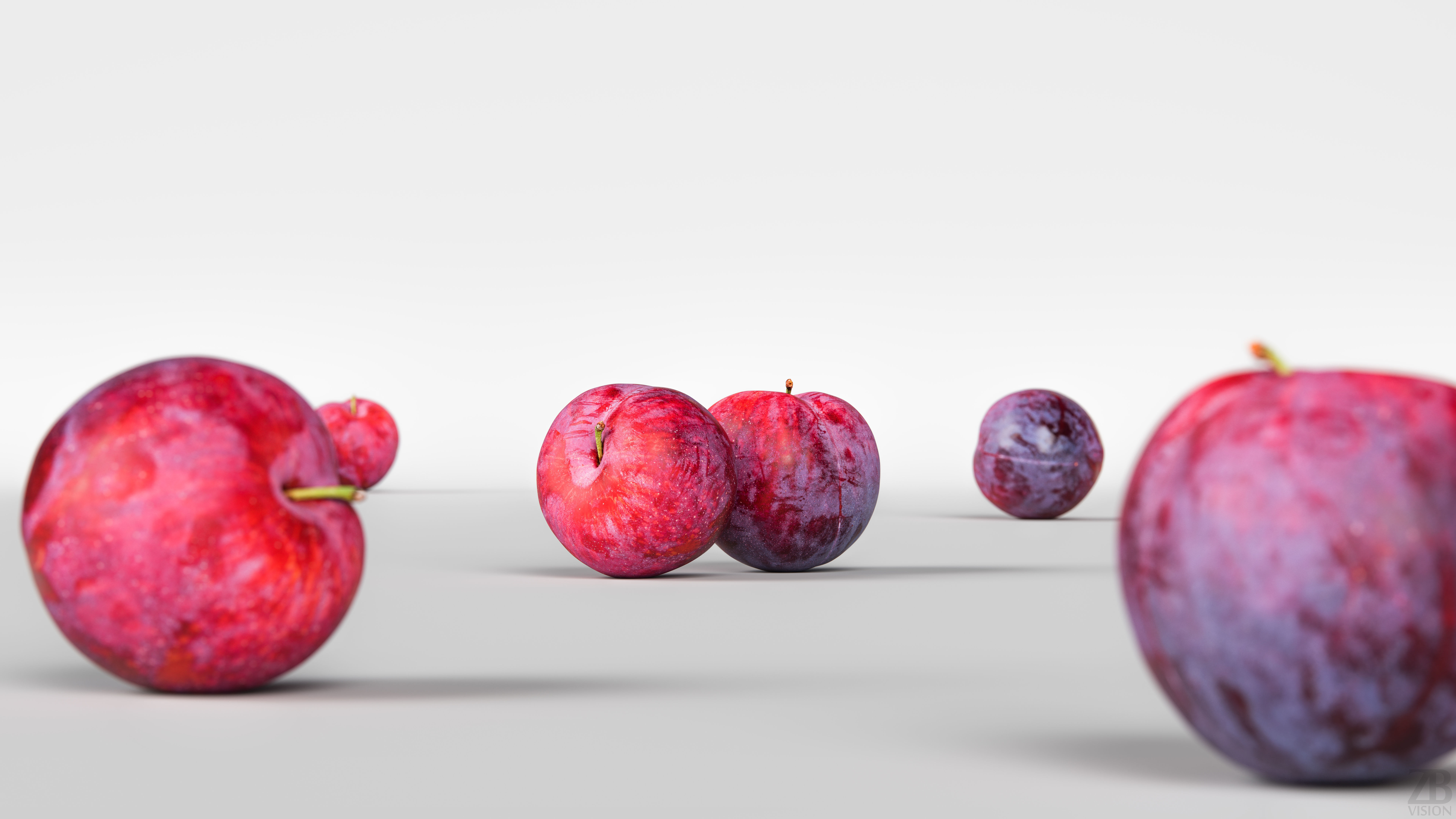 Plum  3D model_1