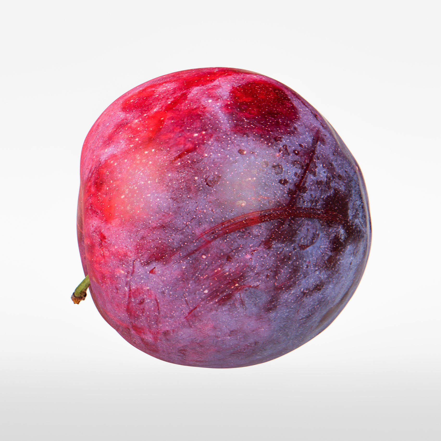 Plum  3D model_8