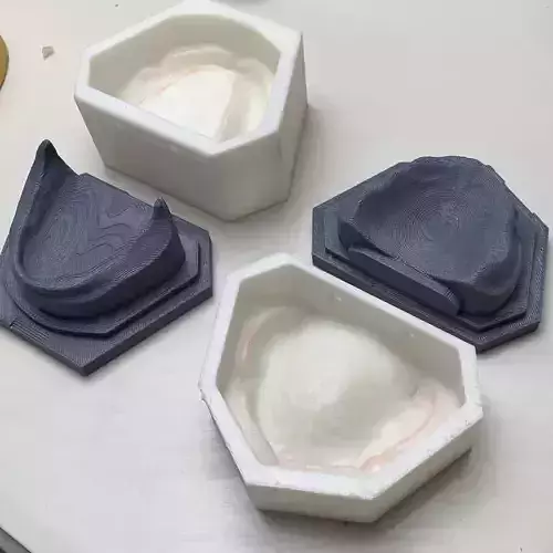 Silicon gum mold data for edentulous models