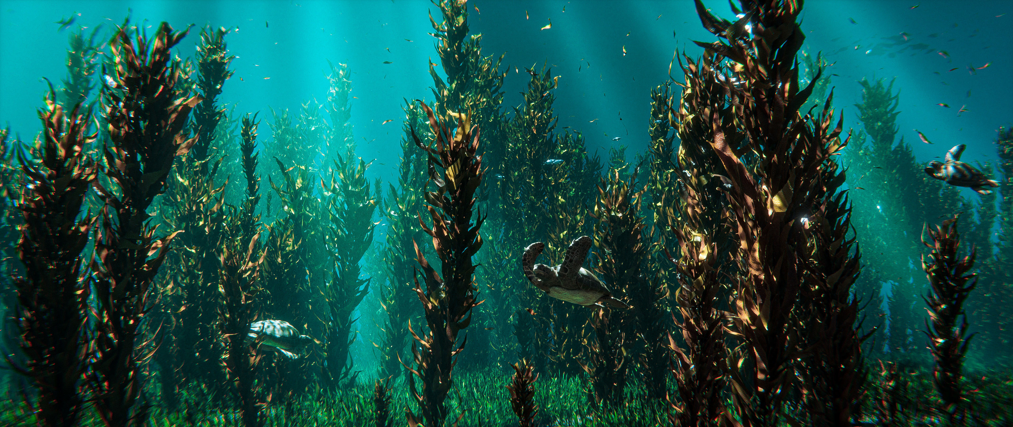 The Coral And Creatures Collection 3D model_4