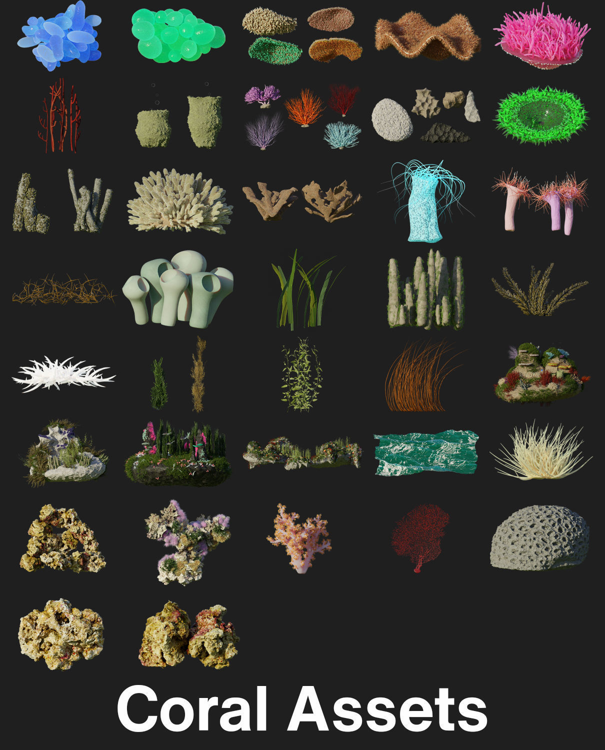 The Coral And Creatures Collection 3D model_10