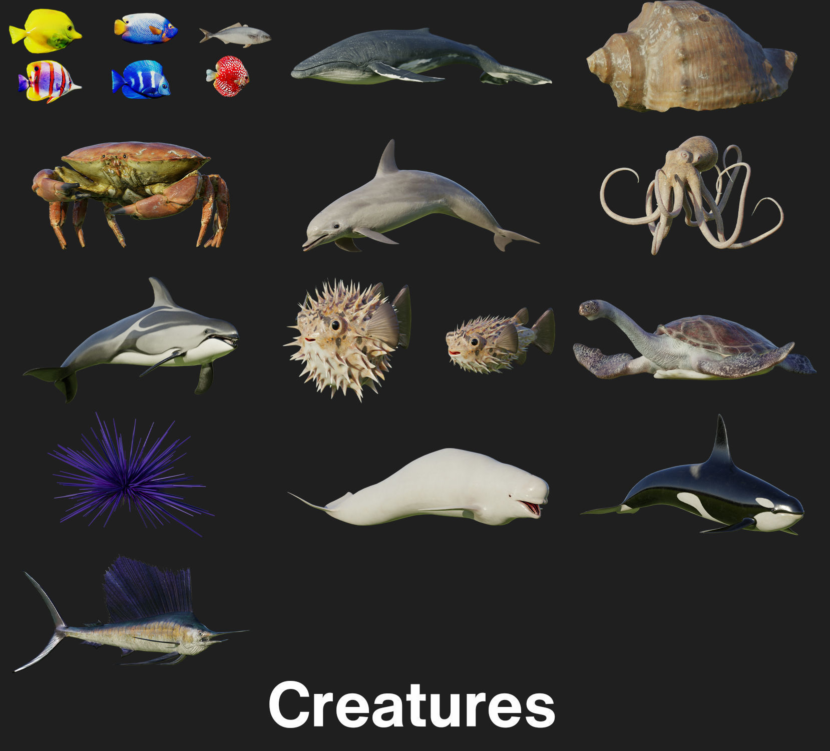The Coral And Creatures Collection 3D model_11