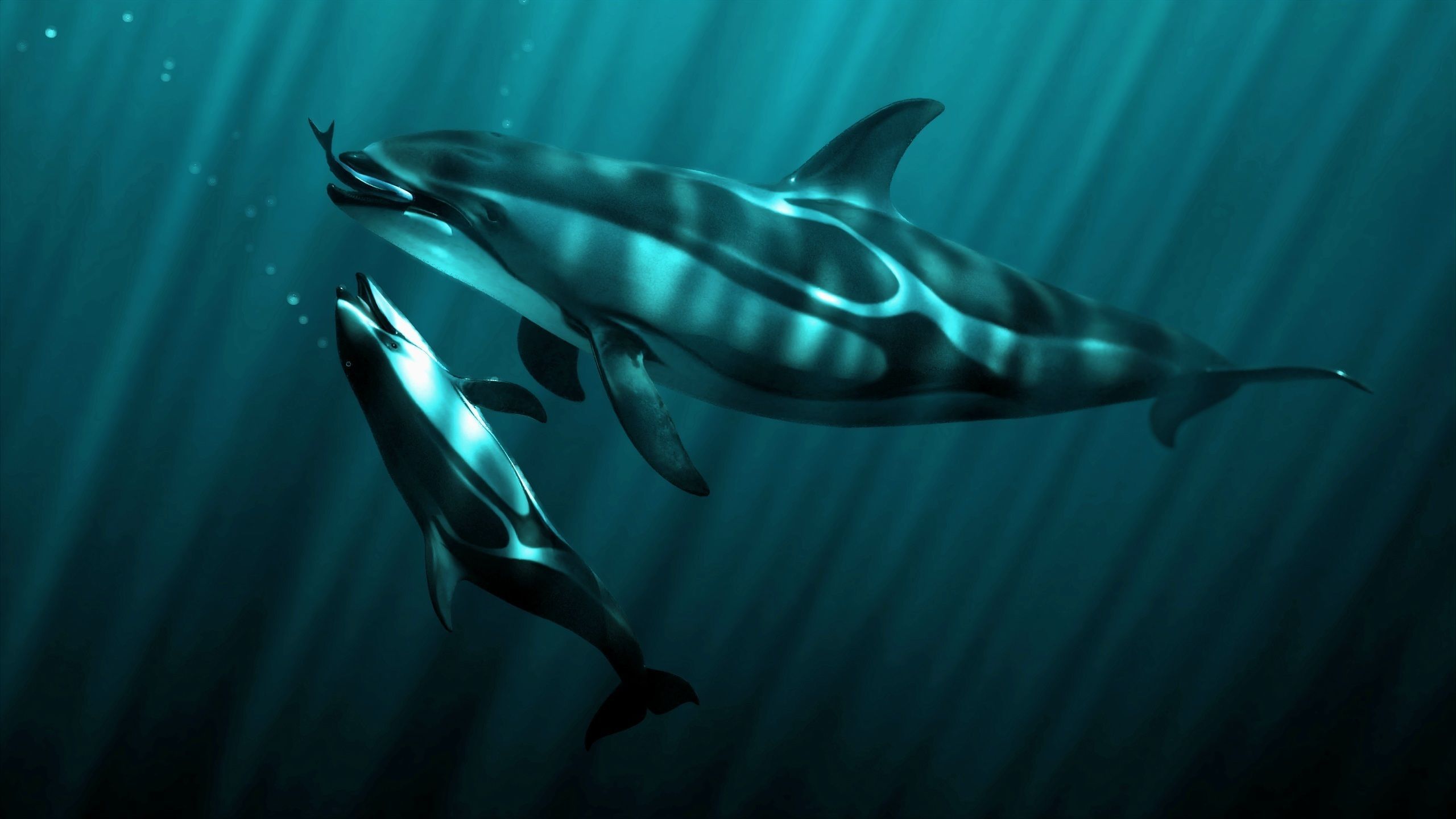 The Coral And Creatures Collection 3D model_17