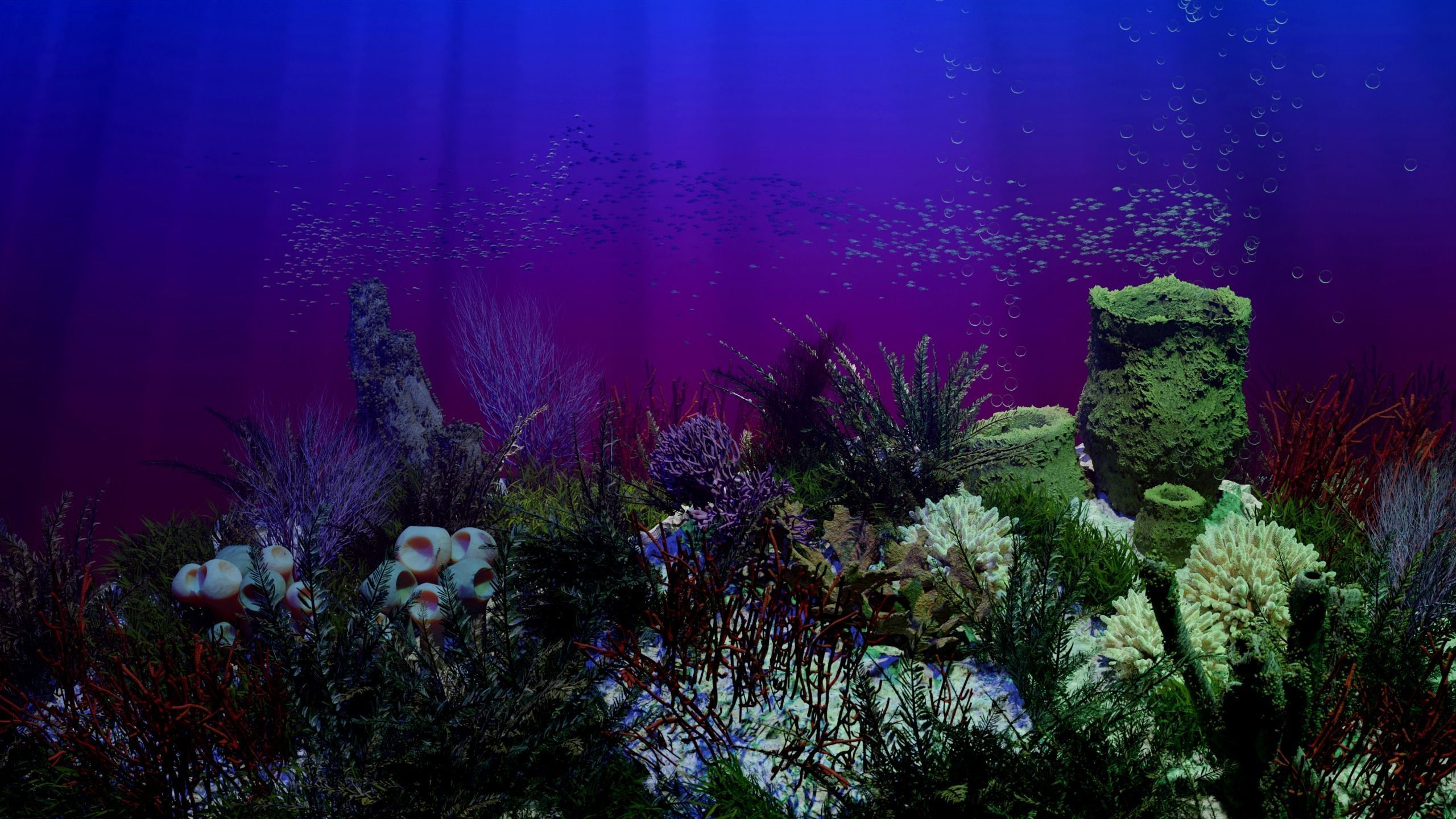 The Coral And Creatures Collection 3D model_20