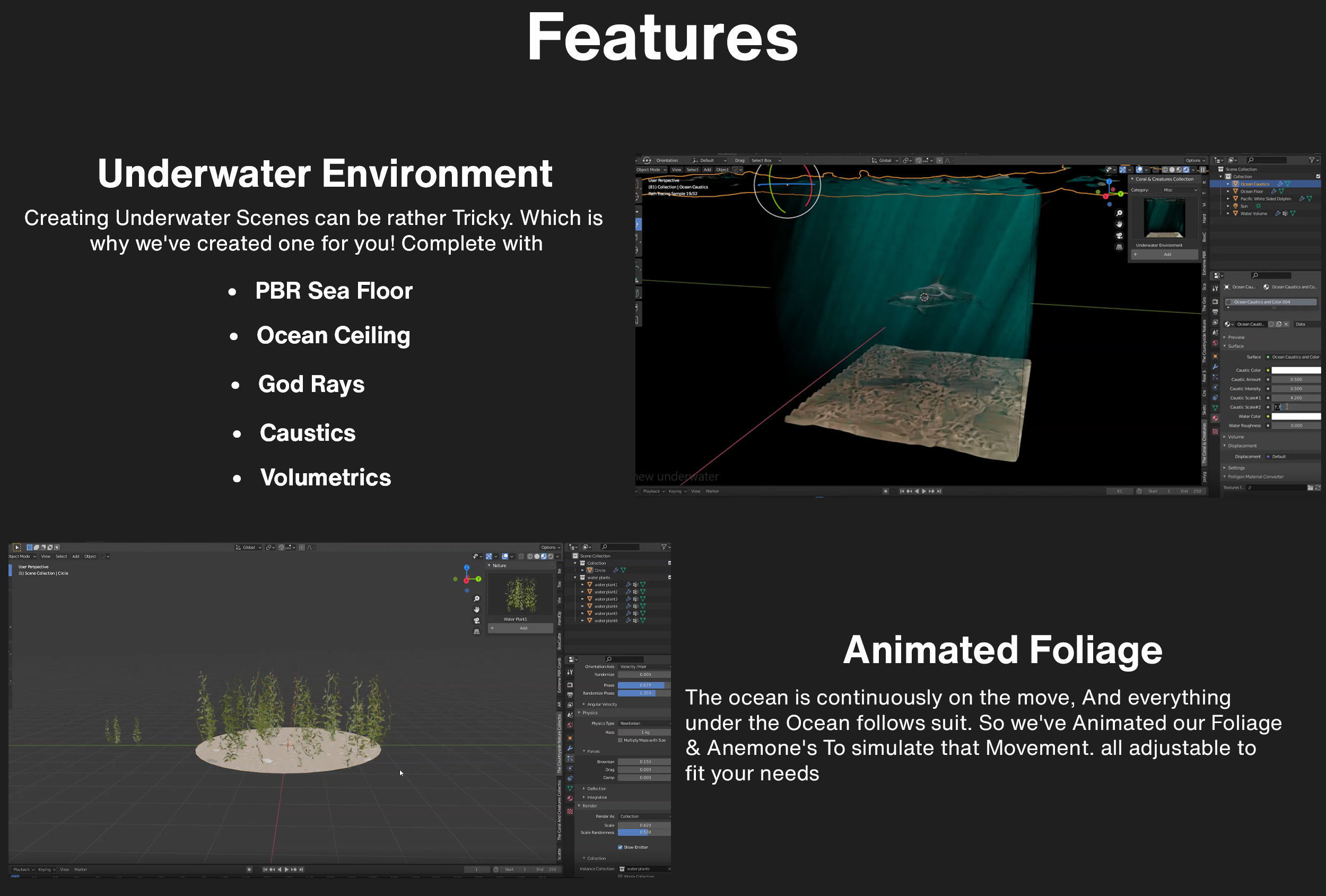 The Coral And Creatures Collection 3D model_6