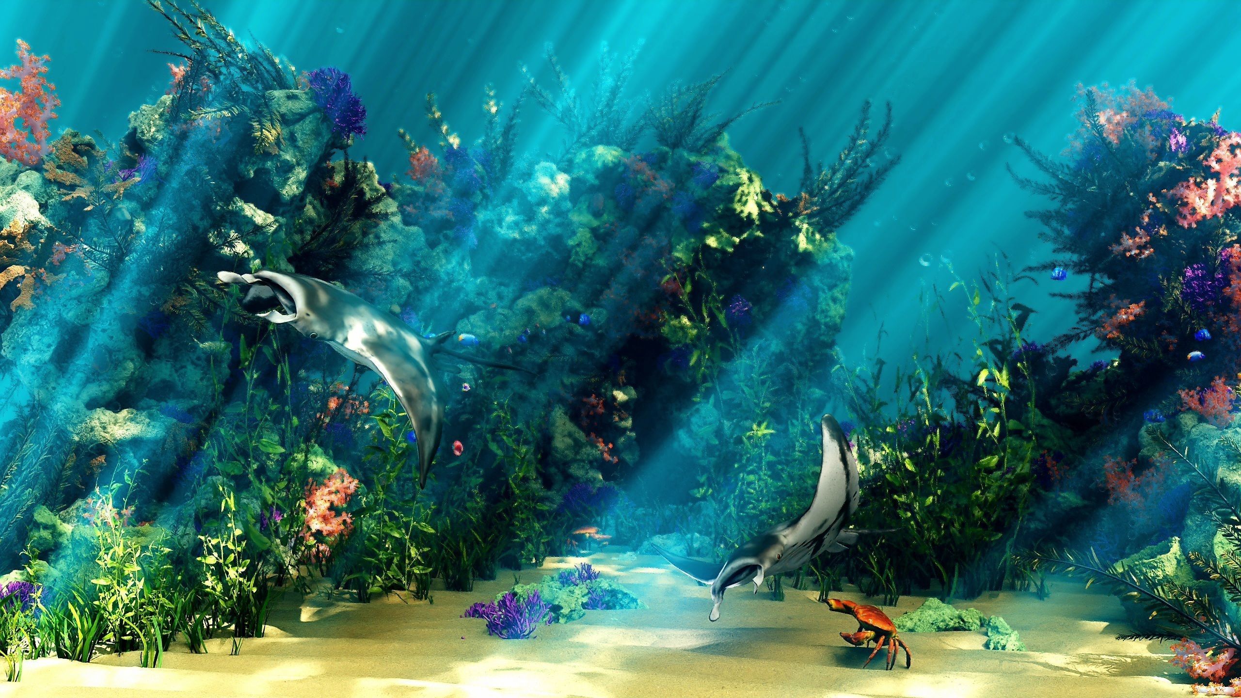 The Coral And Creatures Collection 3D model_5