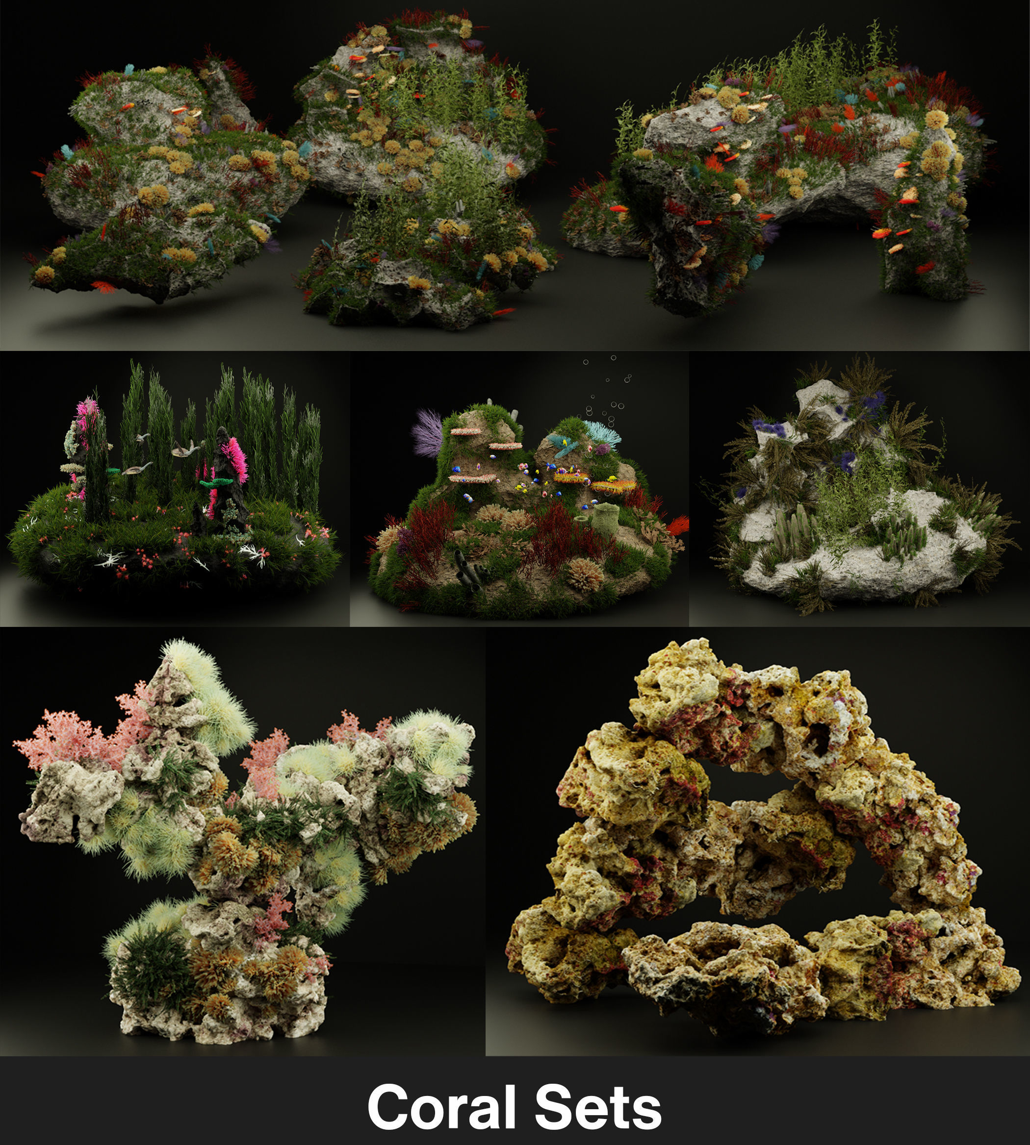 The Coral And Creatures Collection 3D model_12