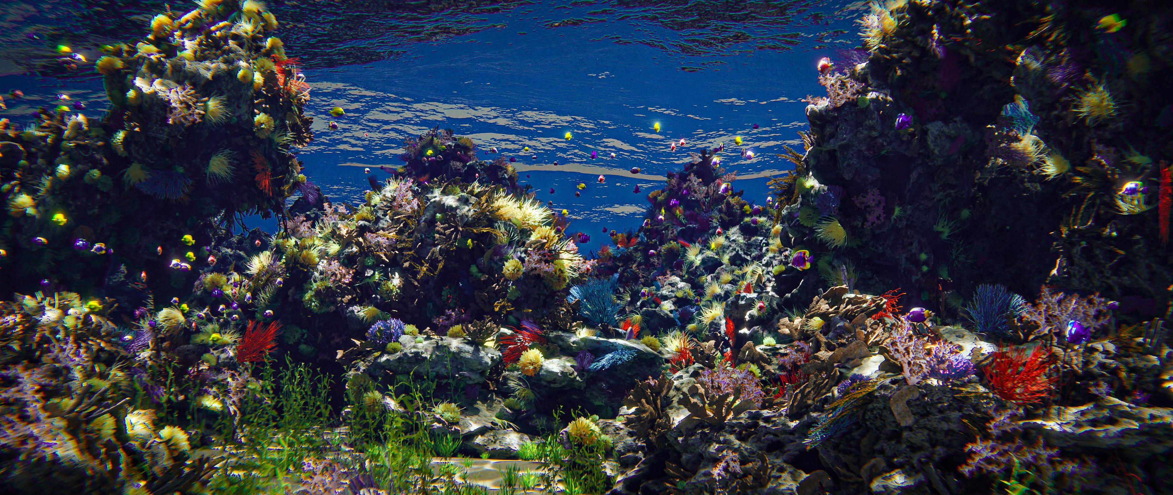 The Coral And Creatures Collection 3D model_2