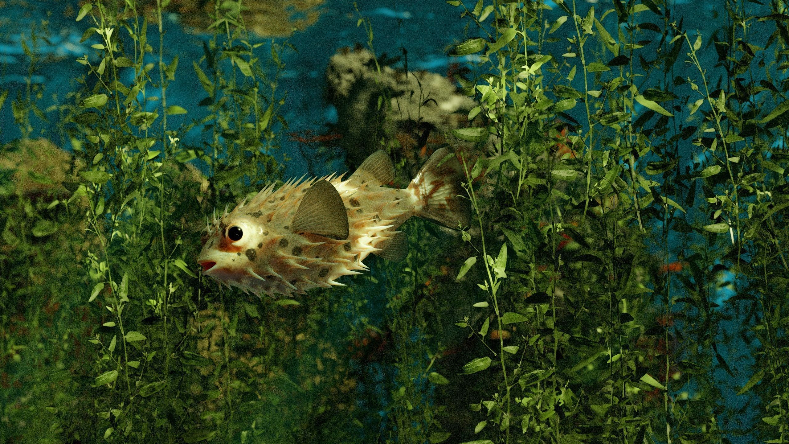 The Coral And Creatures Collection 3D model_15