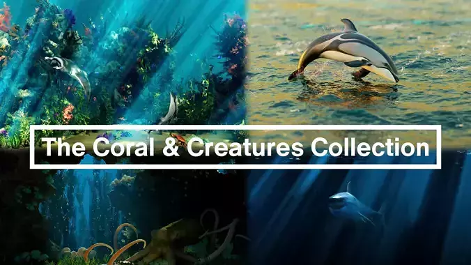 The Coral And Creatures Collection 3D model
